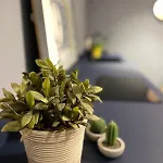 Apartamento Imbriani Urban Loft